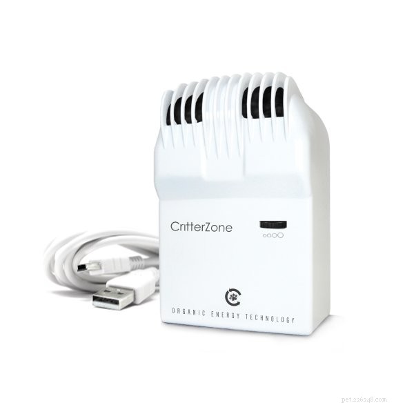 Enhance Your Cat’s Health: Improve Indoor Air Quality & Eliminate Unpleasant Odors