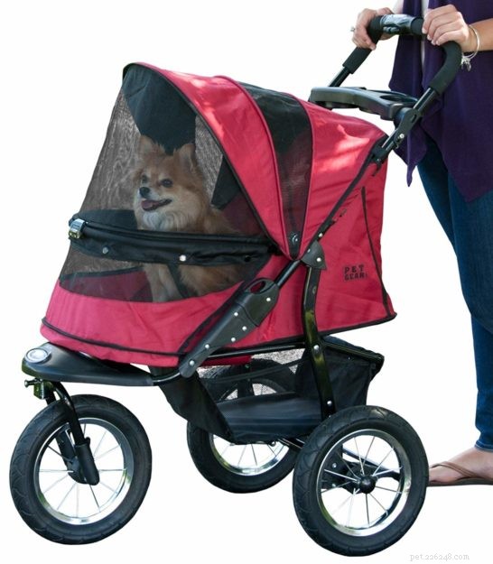 Top Cat Strollers of 2022: Comfort, Safety, and Style for Your Feline