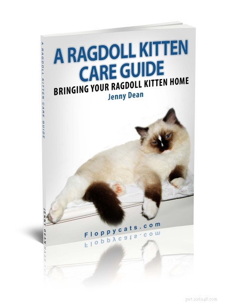 Spotting Cat Pregnancy: Signs, Timing, and Care Tips