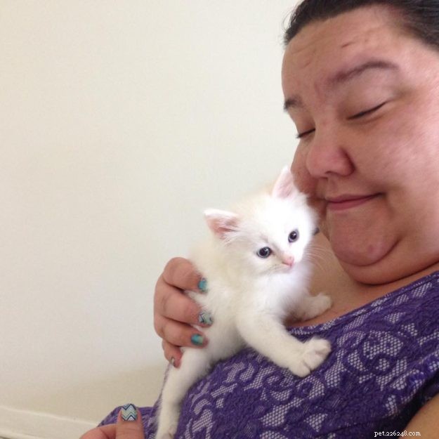 Ragdoll Chronicles: Tristan & Malcolm’s Story of Loss, Love, and New Beginnings