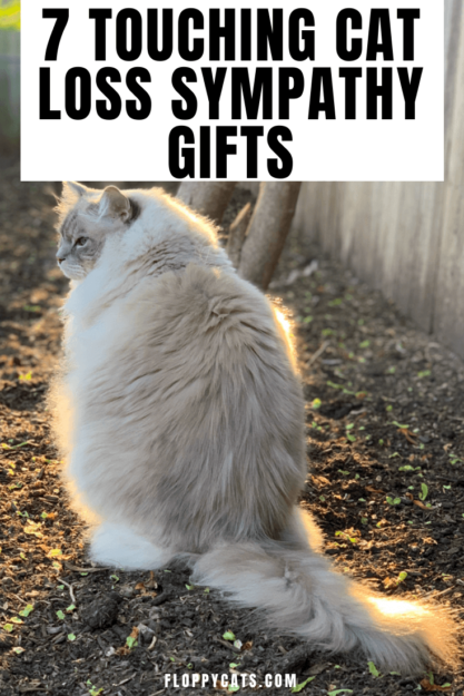 7 Heartfelt Gifts to Comfort Those Who’ve Lost Their Cat