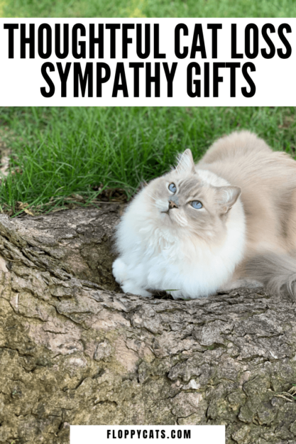 7 Heartfelt Gifts to Comfort Those Who’ve Lost Their Cat