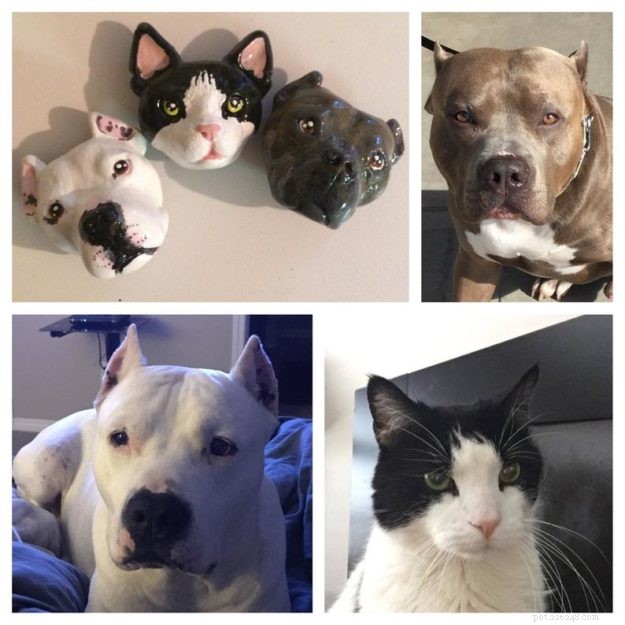 7 Heartfelt Gifts to Comfort Those Who’ve Lost Their Cat