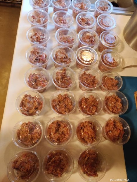 3 Nutritious Homemade Cat Food Recipes for Healthy Paws