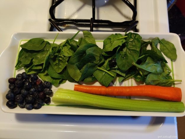 3 Nutritious Homemade Cat Food Recipes for Healthy Paws