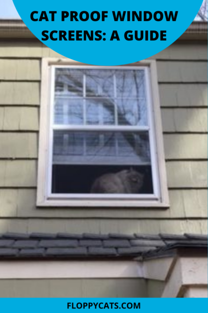 Secure Your Cat: Expert Guide to Cat-Proof Window Screens