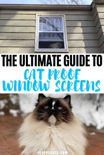 Secure Your Cat: Expert Guide to Cat-Proof Window Screens
