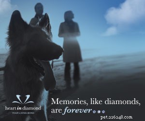 Turn Your Pet s Ashes into Beautiful Jewelry – Preserve Their Memory Forever