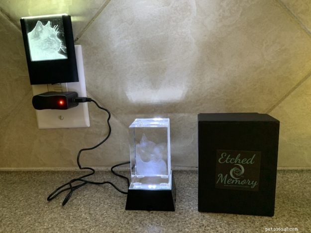 7 Meaningful Keepsake Ideas to Comfort You After Losing a Cat