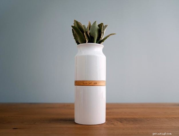 7 Meaningful Keepsake Ideas to Comfort You After Losing a Cat