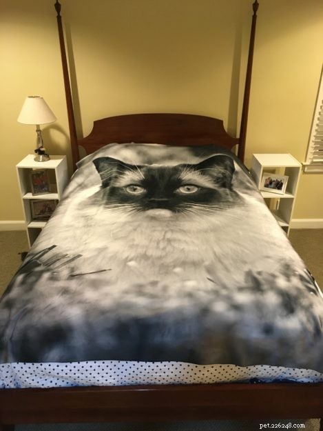 7 Meaningful Keepsake Ideas to Comfort You After Losing a Cat
