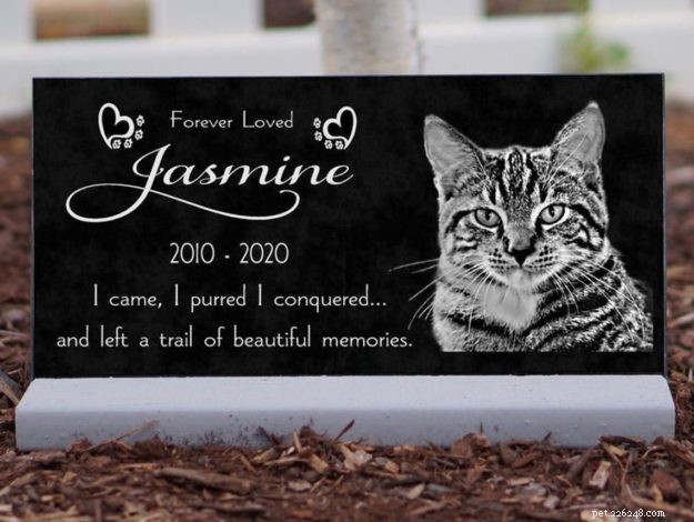 7 Meaningful Keepsake Ideas to Comfort You After Losing a Cat