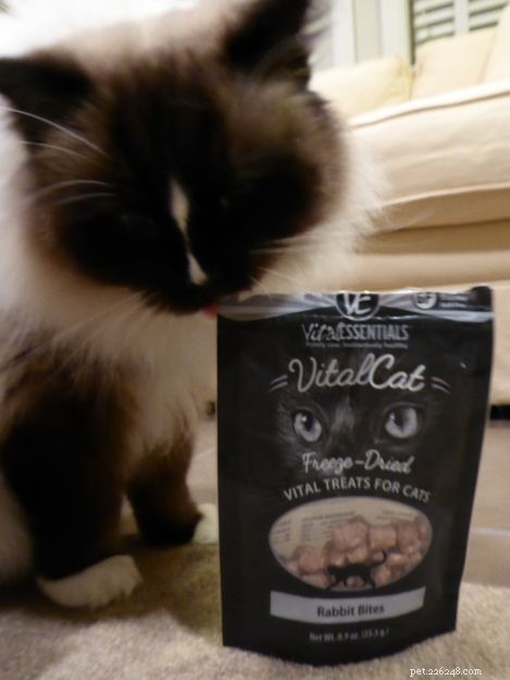 Top 9 Healthiest Cat Treats Your Kitty Will Love