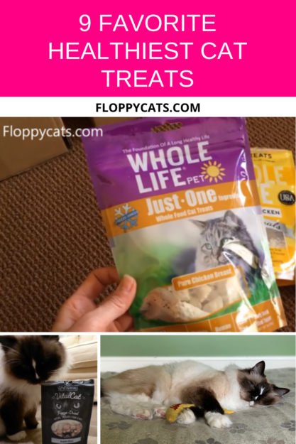 Top 9 Healthiest Cat Treats Your Kitty Will Love