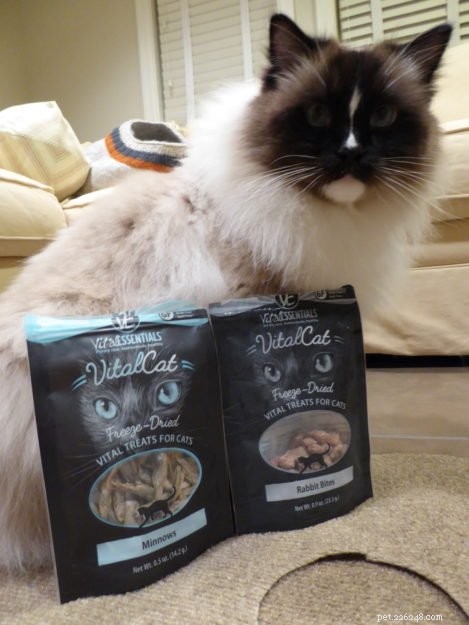 Top 9 Healthiest Cat Treats Your Kitty Will Love