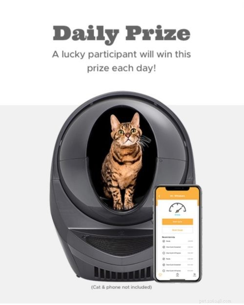 Enter Our 12-Day Christmas Giveaway to Win a Free Litter Robot 3!