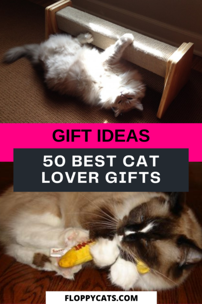 Top 50 Must‑Have Gifts for Cat Lovers
