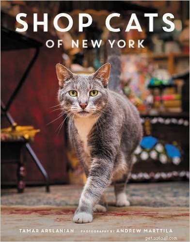 Top 50 Must‑Have Gifts for Cat Lovers