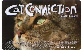 Top 50 Must‑Have Gifts for Cat Lovers