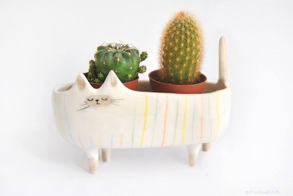 Top 50 Must‑Have Gifts for Cat Lovers