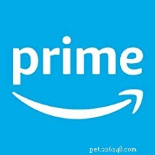 Top 50 Must‑Have Gifts for Cat Lovers