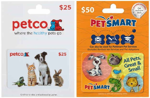 Top 50 Must‑Have Gifts for Cat Lovers