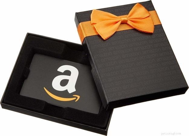 Top 50 Must‑Have Gifts for Cat Lovers