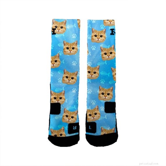 Top 50 Must‑Have Gifts for Cat Lovers