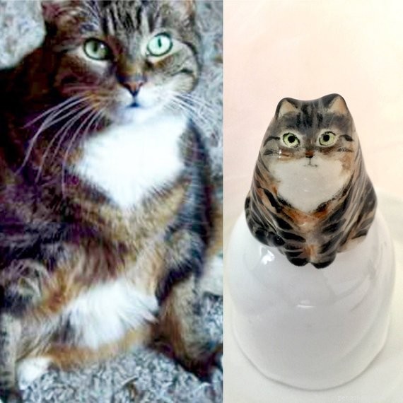 Top 50 Must‑Have Gifts for Cat Lovers
