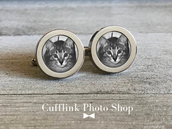 Top 50 Must‑Have Gifts for Cat Lovers