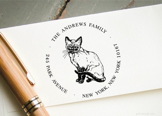 Top 50 Must‑Have Gifts for Cat Lovers