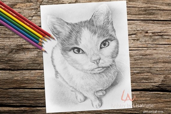 Top 50 Must‑Have Gifts for Cat Lovers