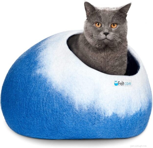 Choosing the Ideal Bed for Your Large Cat: A Practical Guide