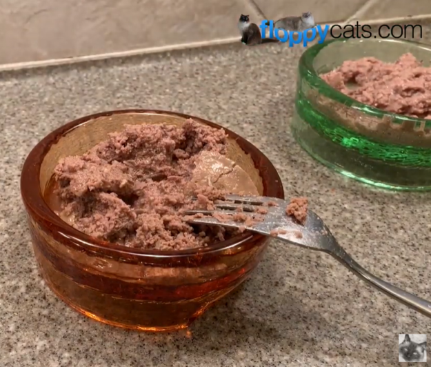 How Long Is Wet Cat Food Safe to Leave Out Before Spoilage?