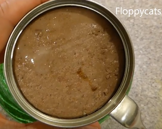 How Long Is Wet Cat Food Safe to Leave Out Before Spoilage?