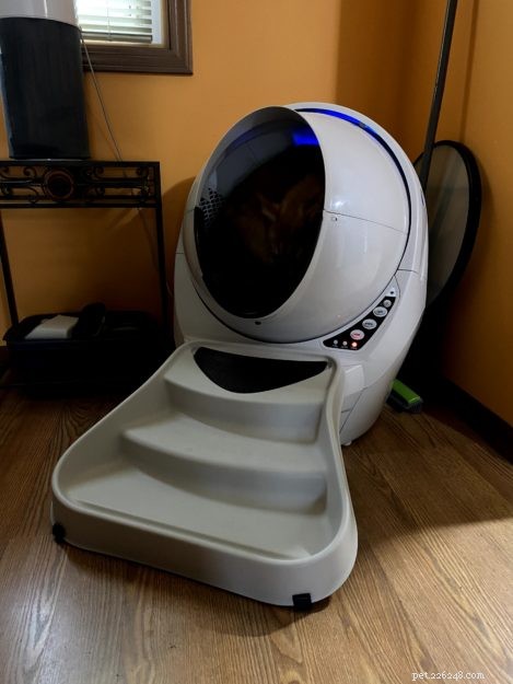Litter Robots: The Ultimate Solution for Maine Coon Care