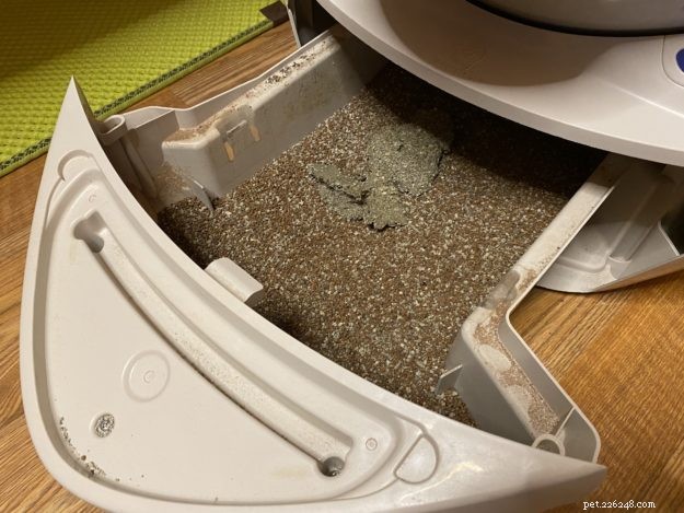 Litter Robots: The Ultimate Solution for Maine Coon Care