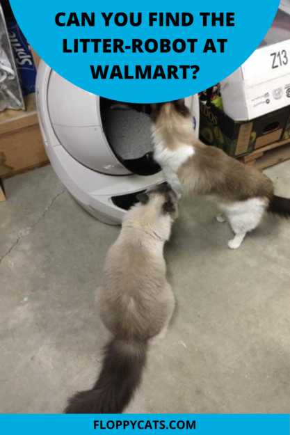 Find the Litter‑Robot at Walmart: Availability & Buying Tips