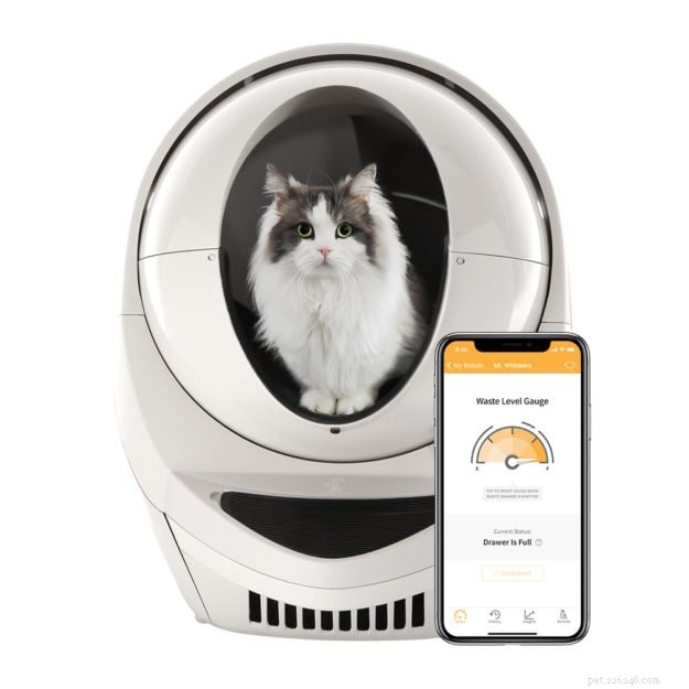 Move Your Cat’s Litter Box Safely: A Step‑by‑Step Guide