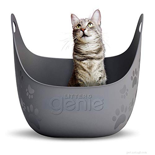 Move Your Cat’s Litter Box Safely: A Step‑by‑Step Guide