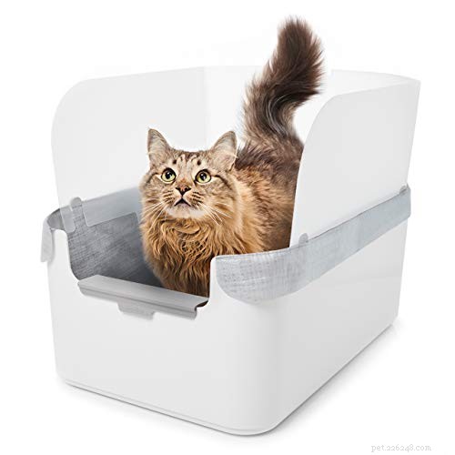Move Your Cat’s Litter Box Safely: A Step‑by‑Step Guide