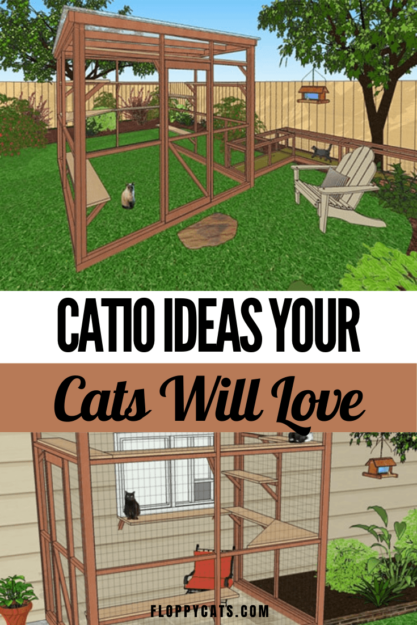 Build Your Own Catio: Expert DIY Plans & Design Inspiration
