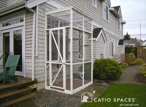 Build Your Own Catio: Expert DIY Plans & Design Inspiration