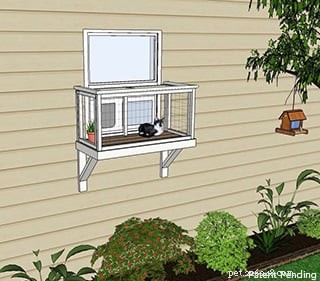 Build Your Own Catio: Expert DIY Plans & Design Inspiration