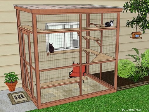 Build Your Own Catio: Expert DIY Plans & Design Inspiration