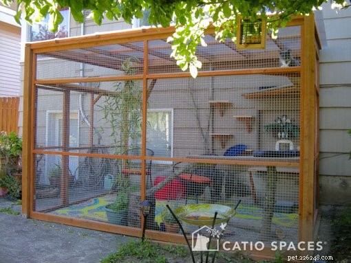 Build Your Own Catio: Expert DIY Plans & Design Inspiration