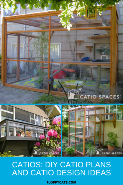 Build Your Own Catio: Expert DIY Plans & Design Inspiration