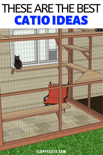 Build Your Own Catio: Expert DIY Plans & Design Inspiration