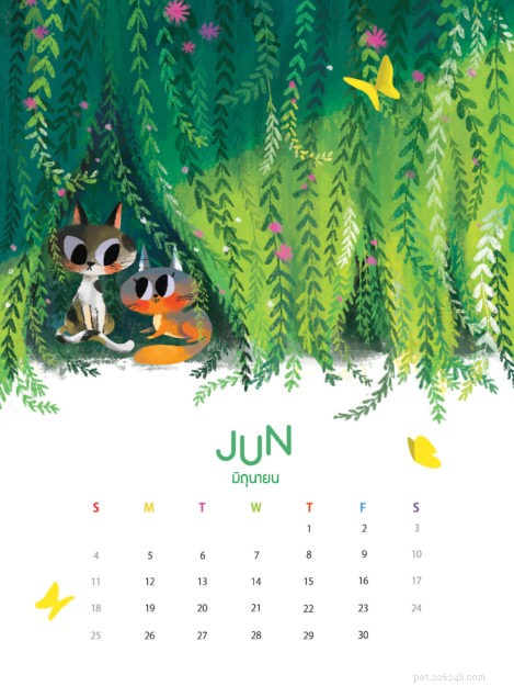 Where to Purchase High-Quality Ragdoll Cat Illustrations
