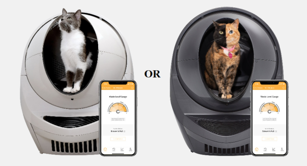 10 Expert Strategies to Prevent Dogs from Interfering with Your Cat s Food & Litter Box